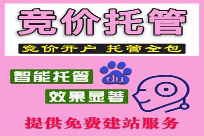 成功SEM托管案例解析